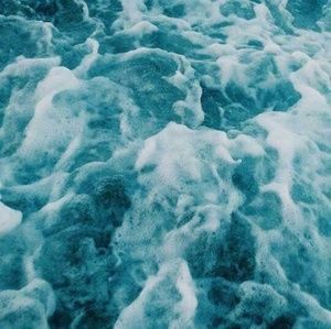 Meet your Posher, Baby